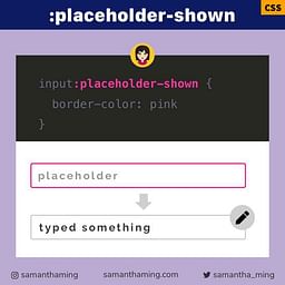 CSS :placeholder-shown