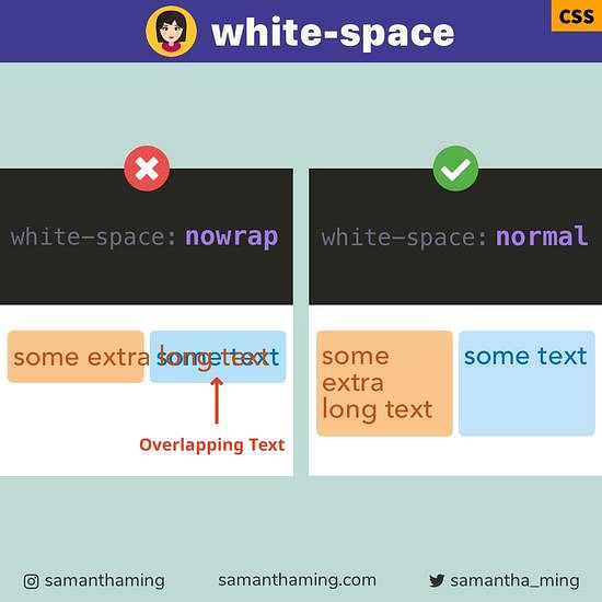 Code snippet on Fix Text Overlap with CSS white-space